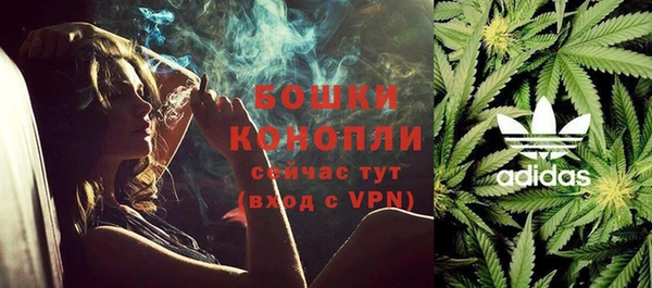 сатива Абдулино