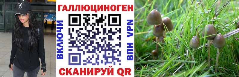 Галлюциногенные грибы GOLDEN TEACHER  Богородск 
